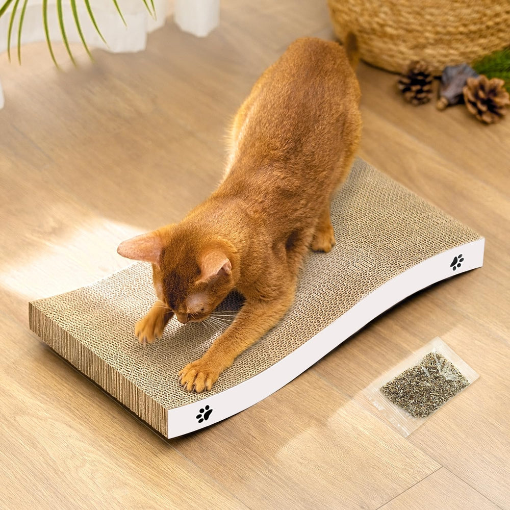 Coching grattoir chaton moyen recto verso, surface double-face pour durer plus longtemps