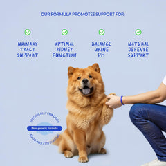 Coco et Luna: extrait Cranberry pour chiots et chiens, soutien urinaire potentiel.