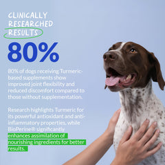 Coco et Luna Curcumin – soutien potentiel des articulations et du bien-être canin.