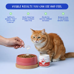 Coco et Luna – Doseuse intégrée facilitant le dosage de la poudre pour chat.