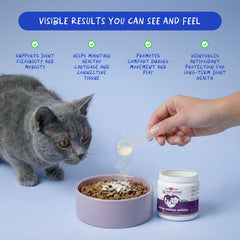 Coco et Luna MSM pour articulation du chat – soulagement potentiel
