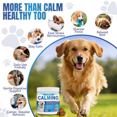 ColEaze friandises apaisantes pour chien – goût agréable et effet rassurant en intérieur.