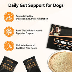 ColEaze Probiotiques chien - sachet 60 facile à doser pour les repas.