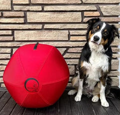 CollieBall balle d'entraînement 18 po, vue frontale, idéale pour l'entraînement et le divertissement actif.