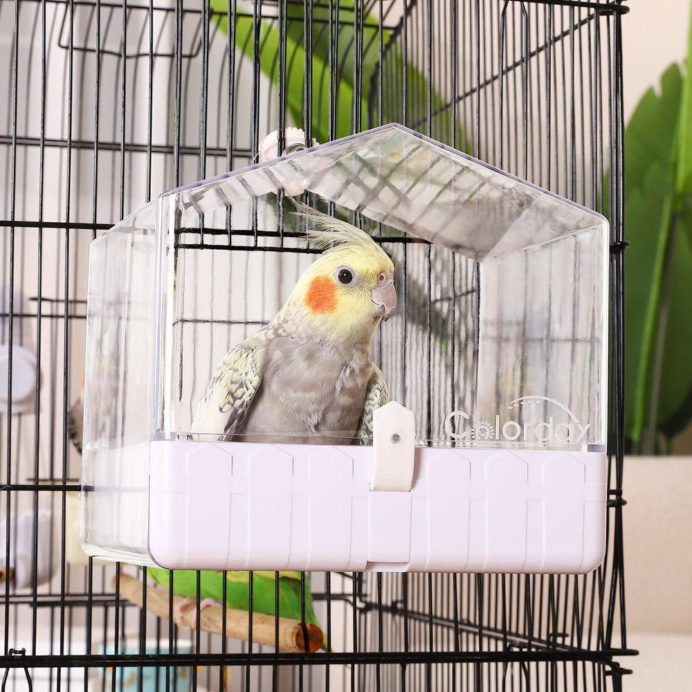 Colorday bain pour oiseaux dans cage avec parois transparentes réduisant les éclaboussures.