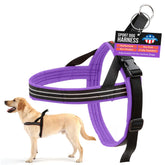Le harnais ComfortFlex Sport, anti-choc, protège le cou lors des promenades.