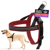 Harnais ComfortFlex Sport sans etranglement en action, confort et sécurité.