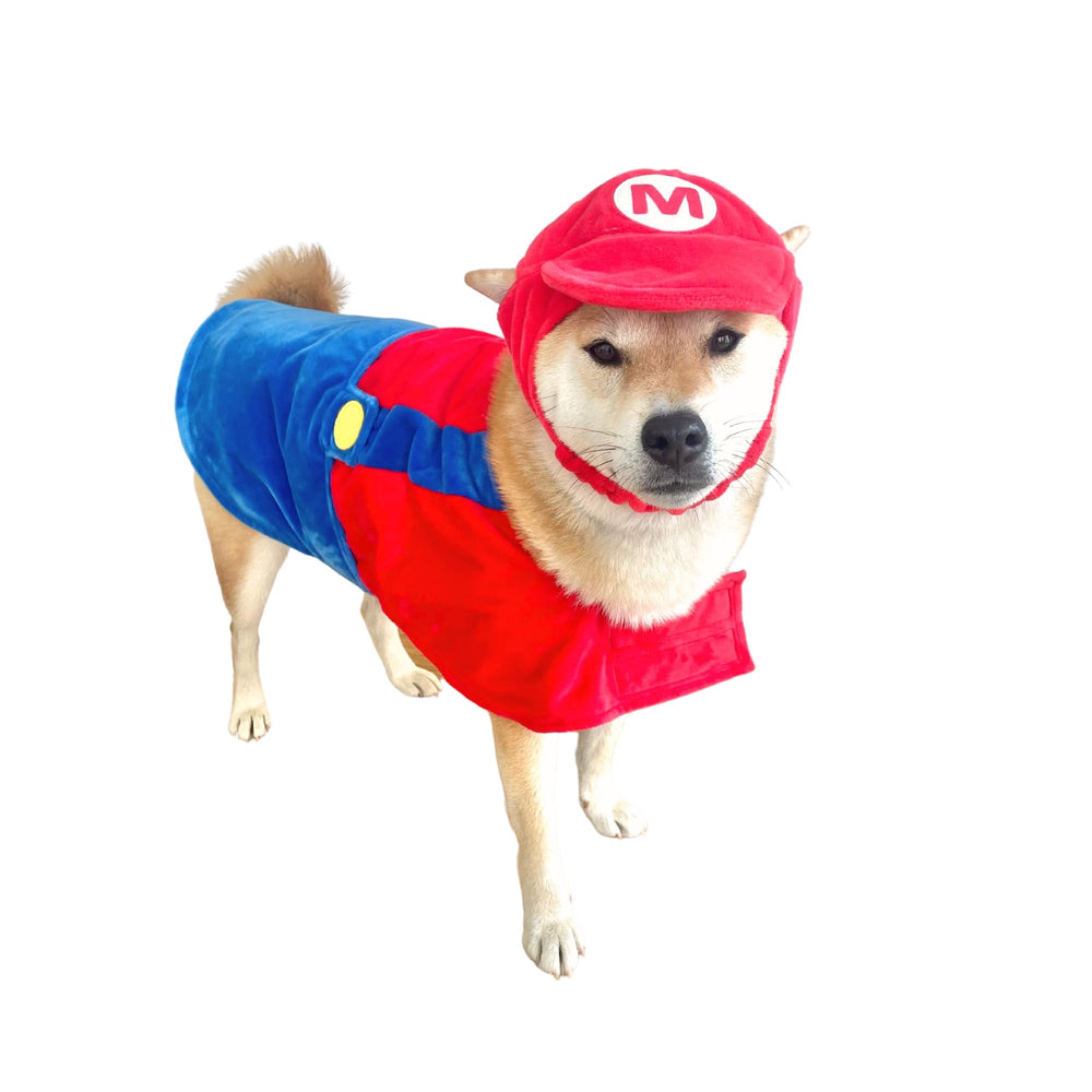 Costume ComfyCamper pour chien, chapeau et bretelles rouges, parfait pour les séances photo.