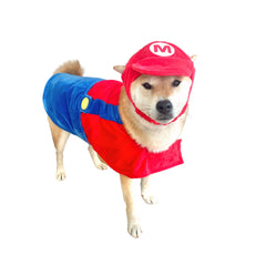 Costume ComfyCamper pour chien, chapeau et bretelles rouges, parfait pour les séances photo.