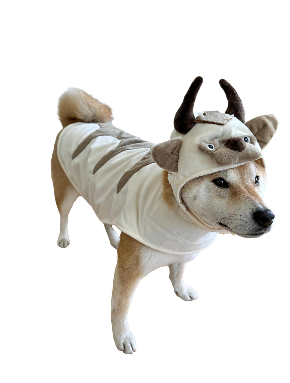 Costume Oxen ComfyCamper — tête viking pour chien, look unique.