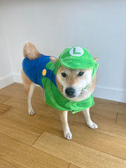 Habillage ComfyCamper pour chien astronaute vert, parfait pour balades festives.