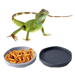 Assiette COMSUN réptile polyvalente, disponible en coloris variés pour différents habitats.