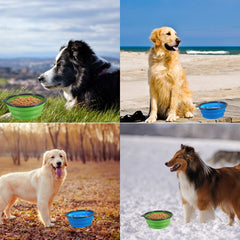 Bol COMSUN pliable bleu-vert, capacité utile pour repas et hydratation