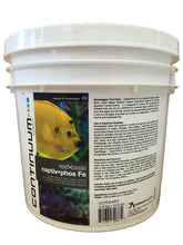 Continuum Aquatics Reef-Basis Captiv Phos Fe, média filtration, réduction des phosphates dans l'aquarium