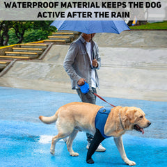Bottes Coodeo bleu pour chien, guérison douce des pattes.
