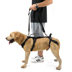 COODEO Mobility Harnais levage chien, vue avant, aide à monter et descendre les marches
