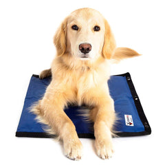 Coolerdog matel hydro-refroidissement: confort rafraîchissant pour chien lors d'une chaude après-midi.