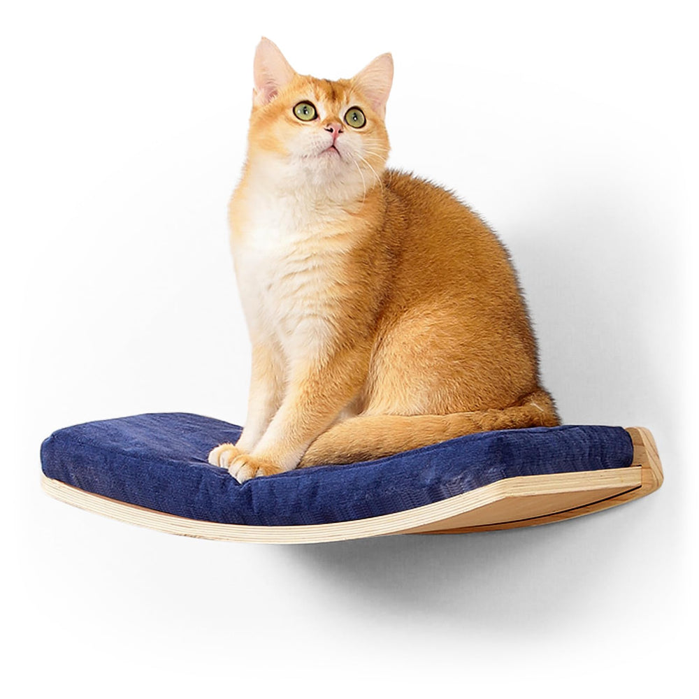 COOLEX étagères chat courbées murales – espace sûr et observateur pour votre chat.