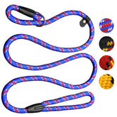 Laisse Coolrunner pour chien de 5 ft bleu, équilibre liberté et contrôle.