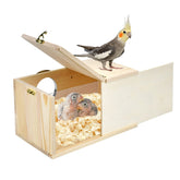 Nid Cooshou en pin naturel avec verre transparent pour observation facile dans la cage