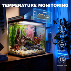 COOSPIDER kit debutant facile a monter pour demarrer un petit ecosysteme