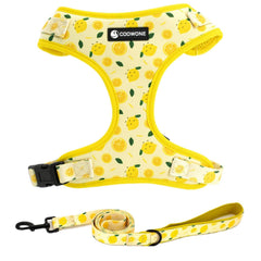 Harnais COOWONE imprimé coloré pour promenade confortable et stylée.