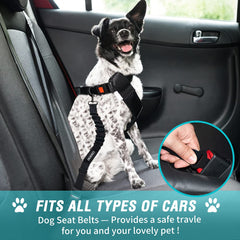 COOYOO ceinture chien voiture amortisseur élastique pour trajets plus confortables.