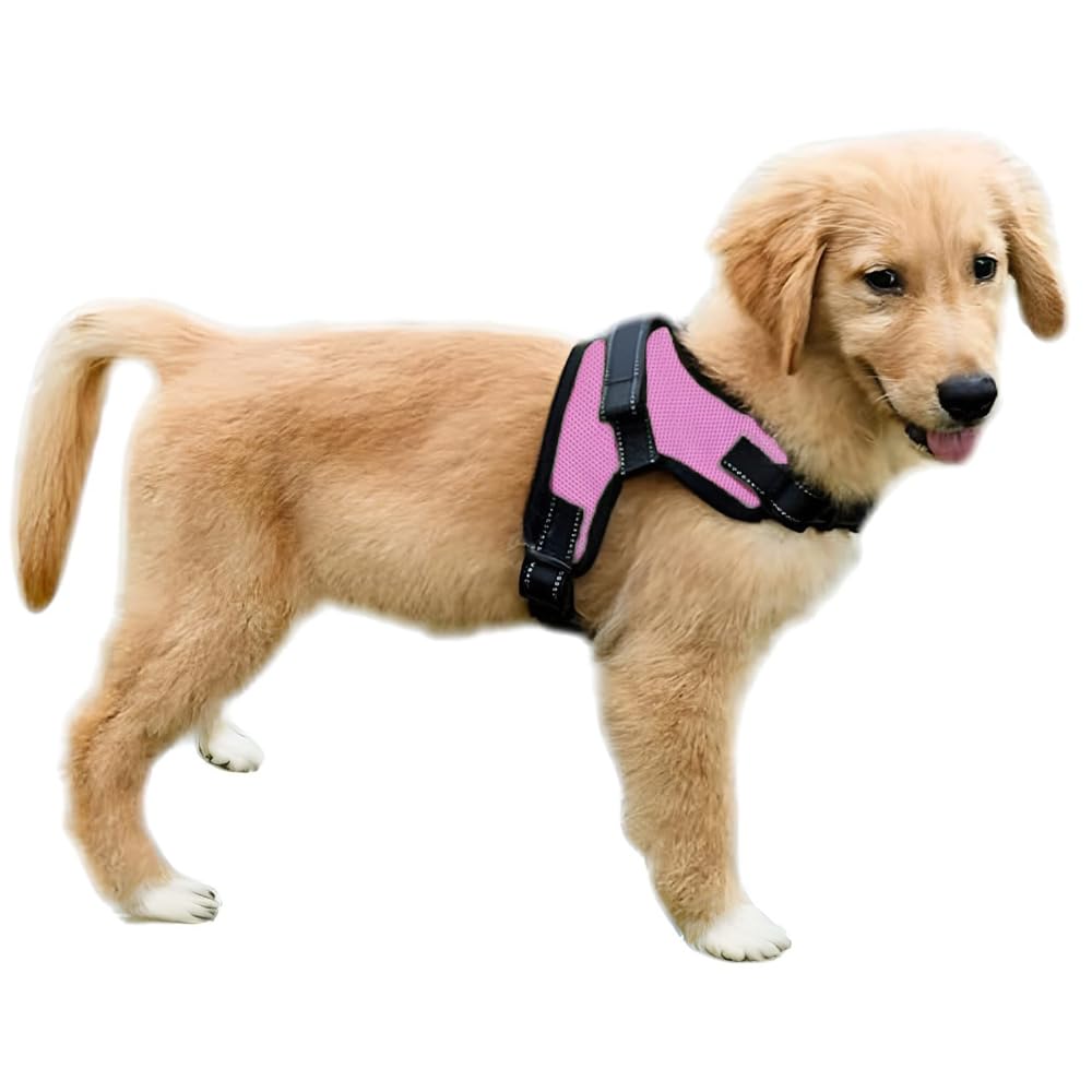 Copatchy harnais anti-pull reflechissant avec poignee, controle lors des balades.