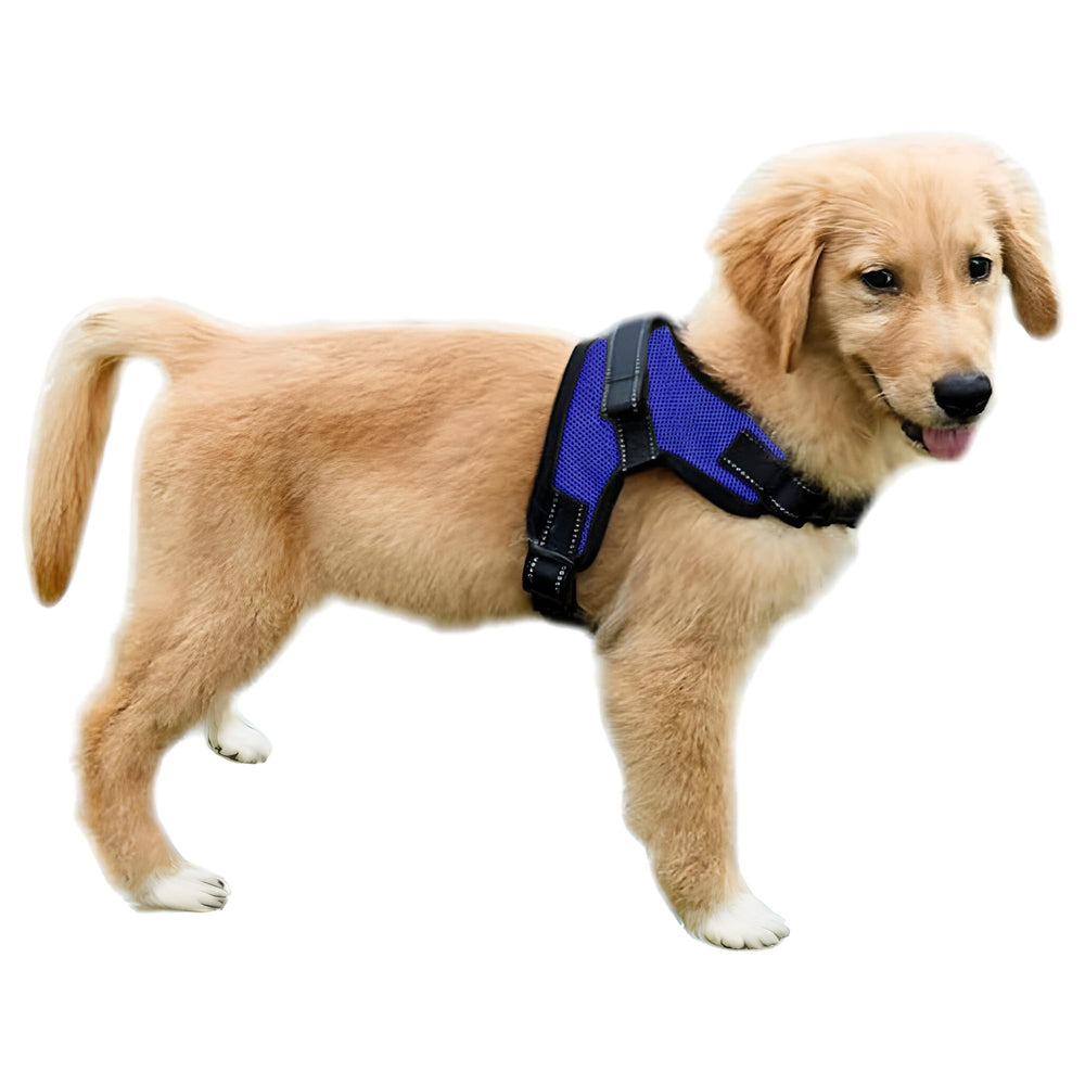Harnais Copatchy réfléchissant anti-tirage avec poignée pour promenade contrôlée.