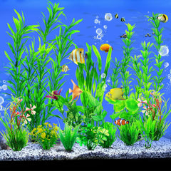 CousDUoBe – plantes d'aquarium vertes vue profil, détails feuillages.