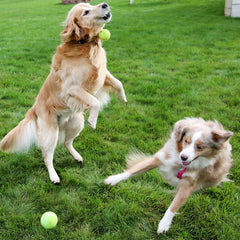 covgopi balle tennis chien couineuse, stimule l'interaction