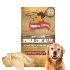 Cowdog Chews os de vache entier, mastication naturelle pour dents propres.