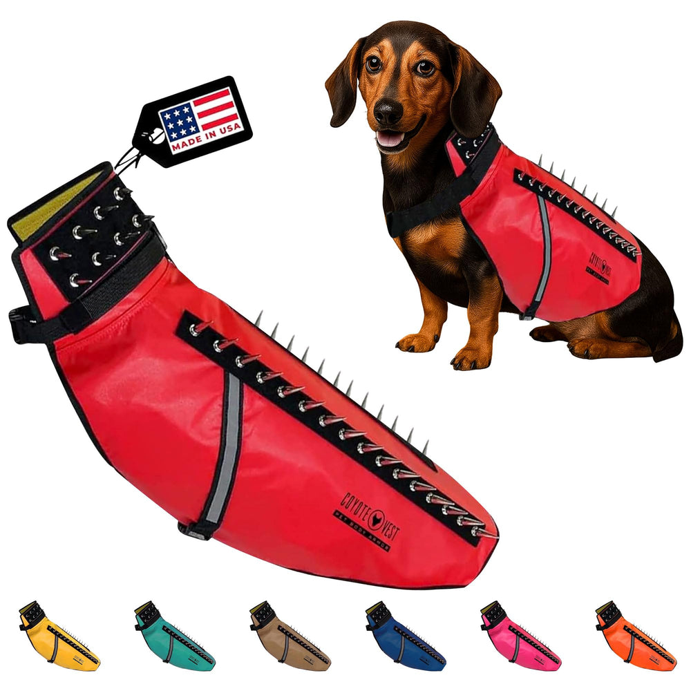 CoyoteVest harnais rouge de protection pour chien, visibilité accrue lors des promenades.