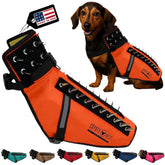 Harnais CoyoteVest pour chien offrant une protection renforcée lors des balades.