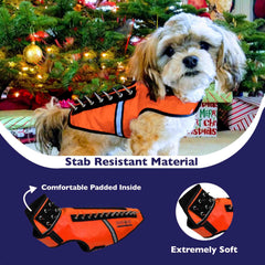 CoyoteVest SpikeVest profil orange pour petit chien, ajustement précis.