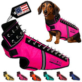 CoyoteVest SpikeVest, harnais petit chien, protection lors des promenades en plein air.