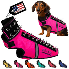 CoyoteVest SpikeVest, harnais petit chien, protection lors des promenades en plein air.