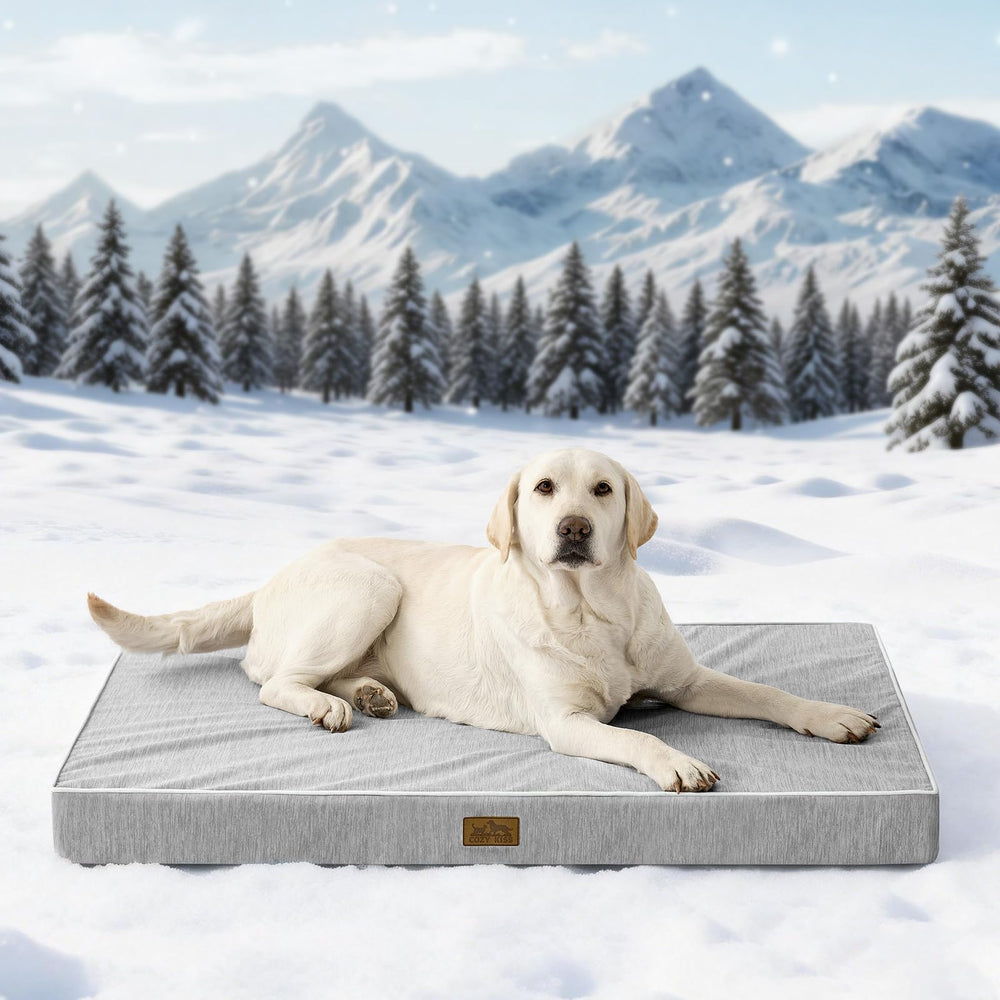COZY KISS lit-chien orthopedique xl offre un soutien pour articulations et muscles