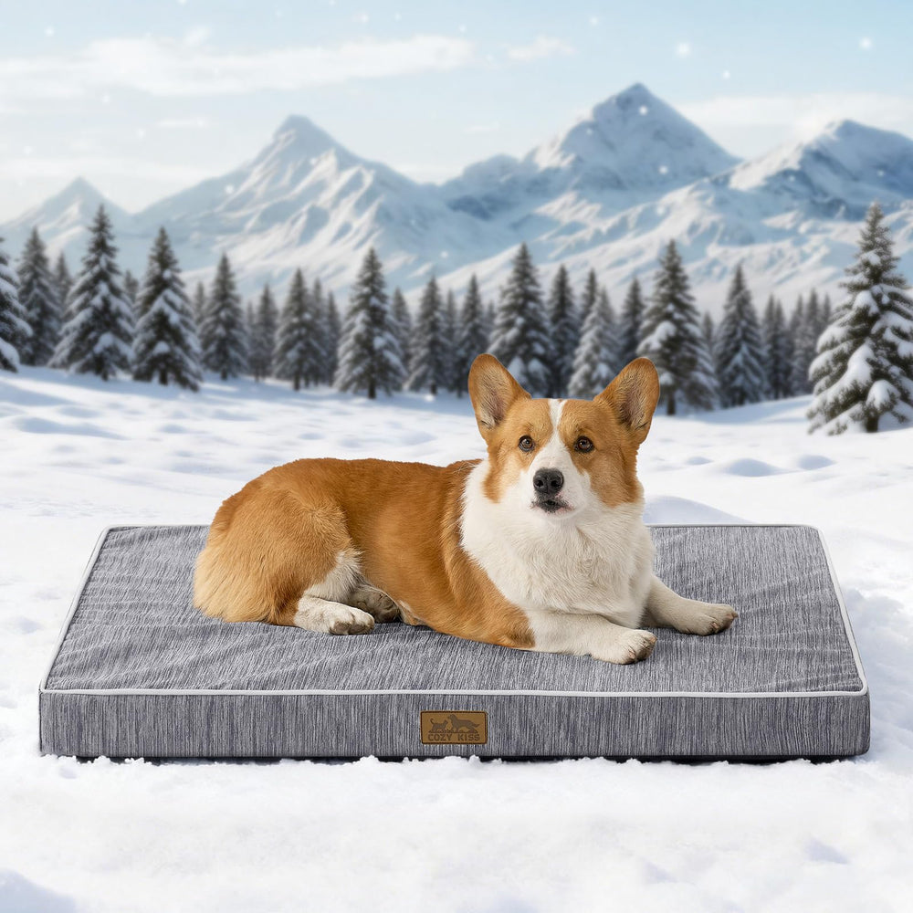 COZY KISS lit-chien refroidi dans caisse pour chaleur estivale.