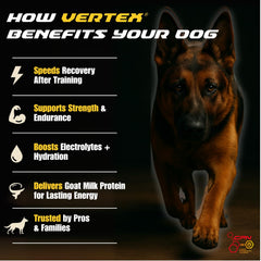Vertex proteine-lactoserum: source rapide pour chiens actifs et sportifs.