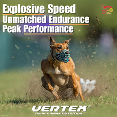 Vertex pré-digéré: protéines hautes performances pour chiens actifs.