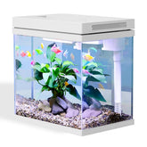 Craftsboys nano-aquarium 2,5 Gal – face avant: design compact pour petits espaces