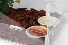 CRITTZOO bacs alimentaires gecko biodégradables, adaptés nourriture et eau.
