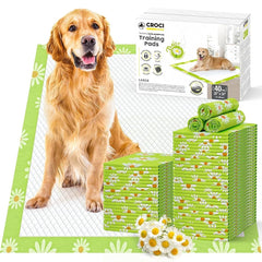 Croci alèse jetable pour chien motif marguerites, pratique et propre.