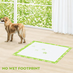 Croci systeme anti-fuite a 6 couches protege les sols.