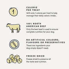 Crumps’ Naturals Foie de Boeuf Mini-Entraineurs – chien heureux lors de l’entrainement.