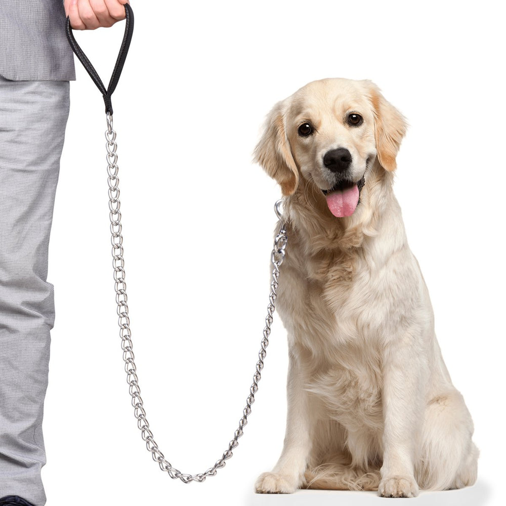 CtopoGo courroie chien chaîne acier 5mm assure durabilité lors des promenades.