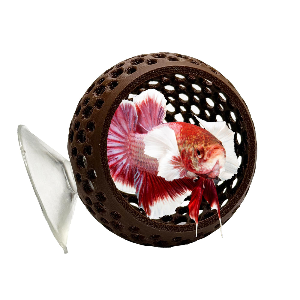 CTWPets cachette-bulbe betta: cachette naturelle pour bettas, refuge sûr.