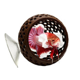 CTWPets cachette-bulbe betta: cachette naturelle pour bettas, refuge sûr.
