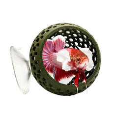 CTWPets bulbe-refuge naturel pour betta, décor forêt-verte offrant repos sûr.